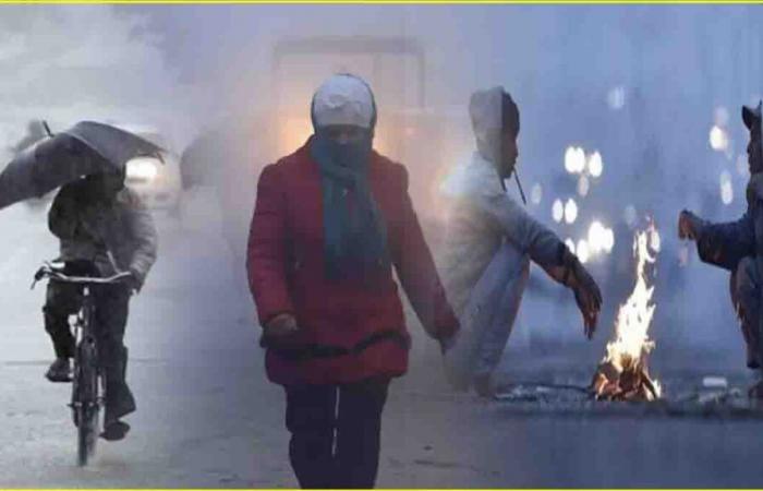 Punjab Weather Update Today, November 21, 2024: IMD issues Yellow alert for tomorrow, Current Temperature, IMD Forecast for Tomorrow and Next 7 Days News24 –