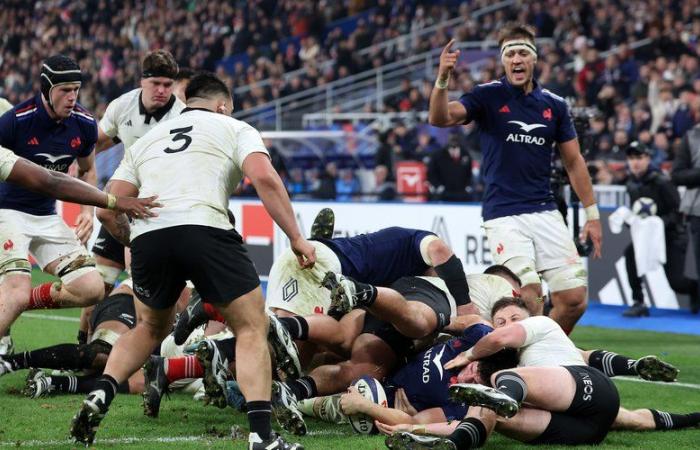 XV of France: after the bitter fight, the Blues set off again to attack a tricky Argentina team to finish their tour well