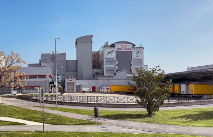 EXCLUSIVE Job Protection Plan (PSE) at Royal Canin in Aimargues