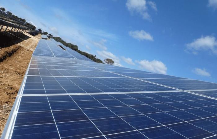 construction of a mega photovoltaic power plant on 48 hectares in Tavel