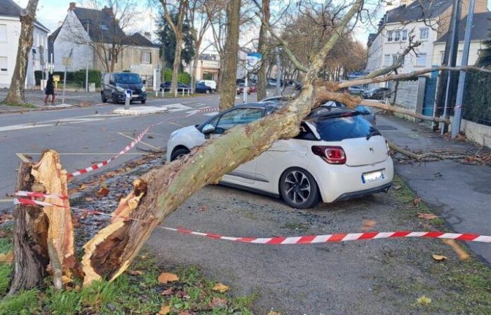 Storm Caetano causes damage to Saint-Nazaire and Loire-Atlantique