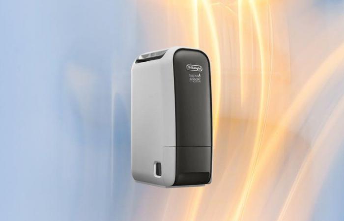 Delonghi: this quality dehumidifier sees its price plummet on Amazon