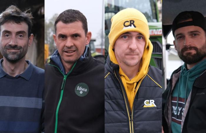 four farmers from major unions explain why they oppose the free trade agreement with Mercosur