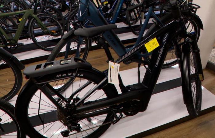 “A very nice discount”: bicycle prices are falling sharply, for what reason?