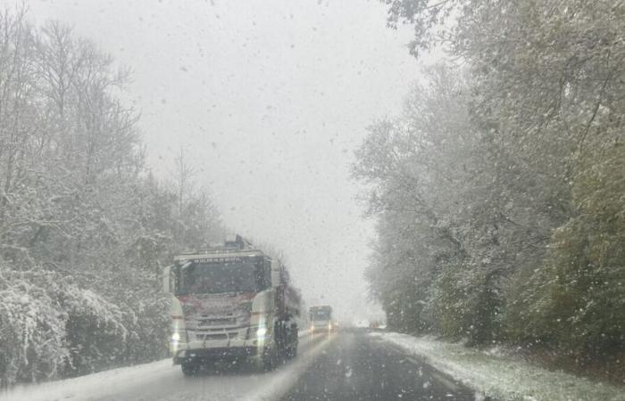 “I spent the whole night in the car”: Thomas, 19, stranded by snow on the A36 motorway