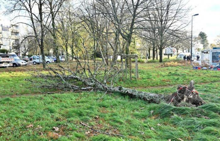 After the snow and gusts of wind, watch out for ice on the roads of Indre-et-Loire