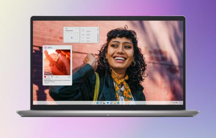 This DELL brand laptop PC benefits from a Black Friday price, be careful, stocks are limited