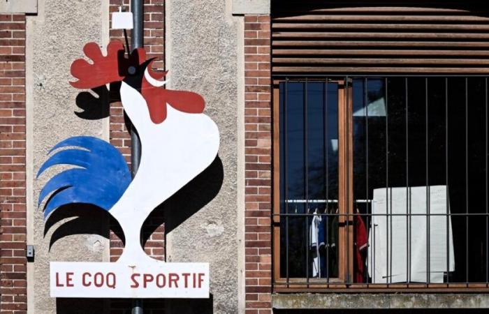 In difficulty, Le Coq Sportif placed in receivership