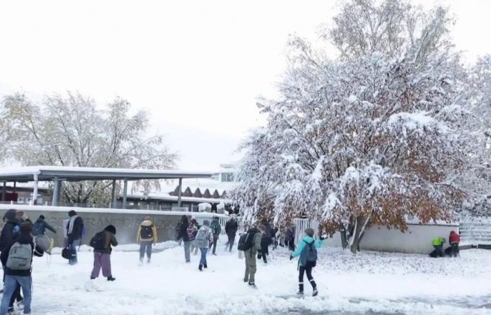 up to 30 centimeters of snow in Haut-Rhin