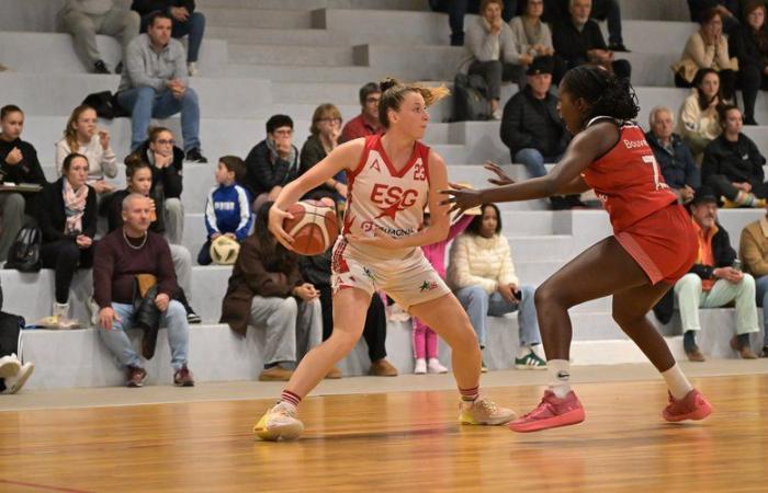 Amateur basketball – Women’s Occitanie Cup: a tempting double confrontation between Auch and Gimont in the capital of Gers