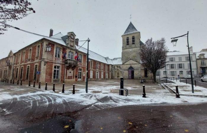 IN PICTURES. From Meaux to Disneyland Paris, the most beautiful photos of snow in Seine-et-Marne