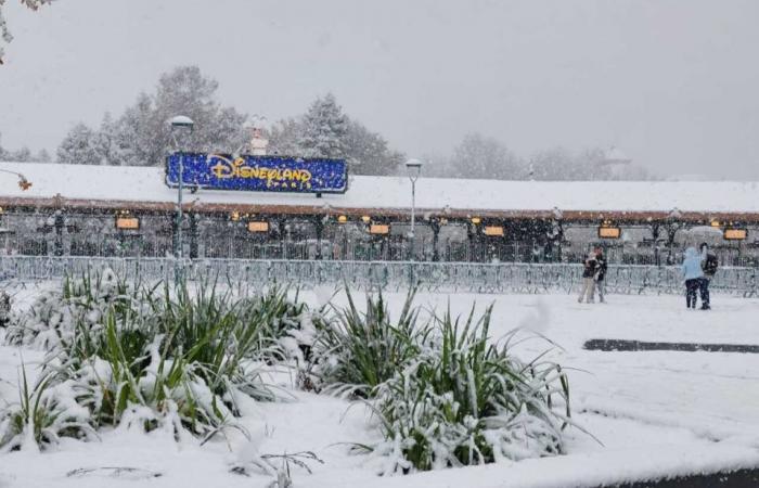 IN PICTURES. From Meaux to Disneyland Paris, the most beautiful photos of snow in Seine-et-Marne