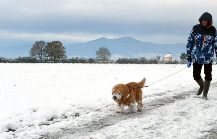 Slideshow. Snowy walk in Central Alsace