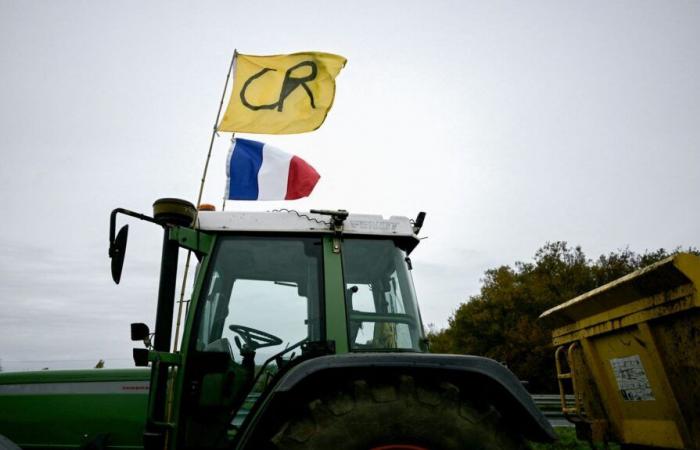 in the Basque Country, the Rural Coordination dumps tons of waste and slurry in front of two mass distribution stores