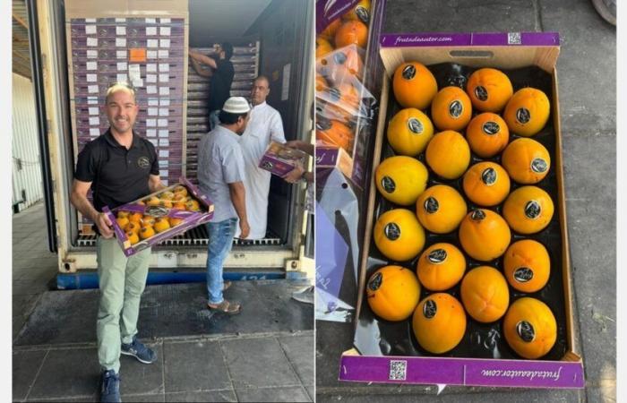 “Demand for persimmon exceeds supply; importers do not exert pressure on prices »