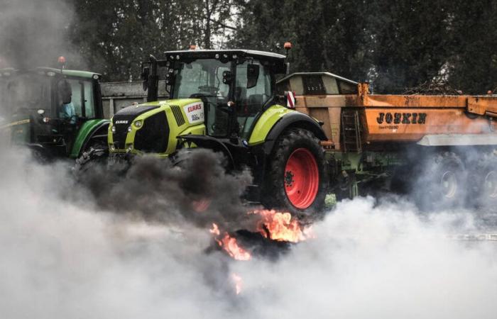 after government announcements, rural coordination announces the lifting of the blockade of the port of Bordeaux – Libération