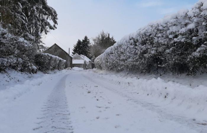 wrecked on the road near Alençon, a family testifies