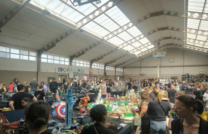 1,000 m2 of Lego® to discover during an exhibition near Beauvais all weekend