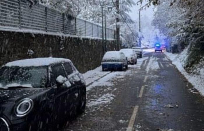 In Yvelines, for 24 hours an entire neighborhood has been without electricity because of a fallen tree