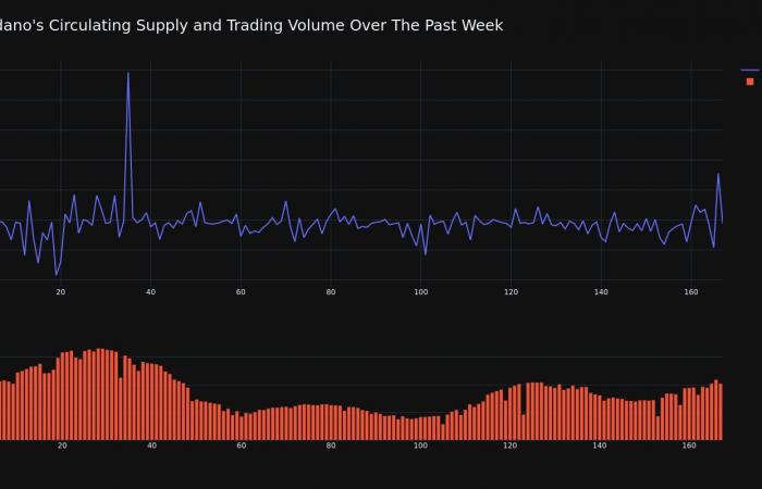 Cardano price increased by over 13% in a span of 24 hours