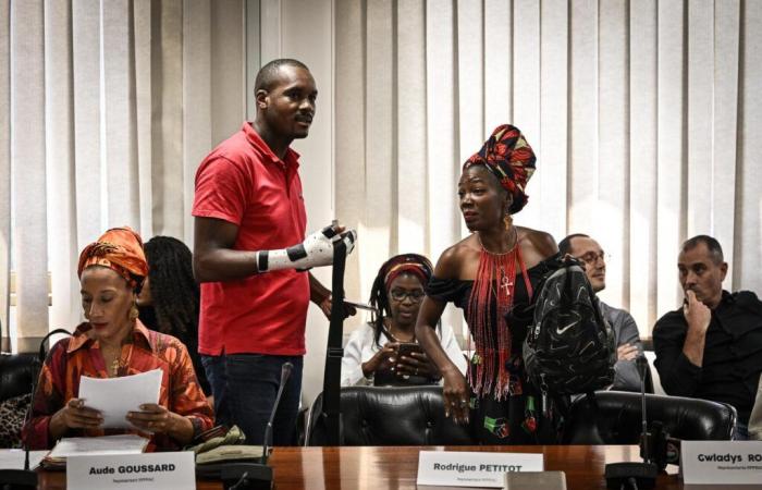 In Martinique, three members of the collective fighting against the high cost of living arrested