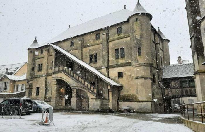 IN PICTURES. From Meaux to Disneyland Paris, the most beautiful photos of snow in Seine-et-Marne