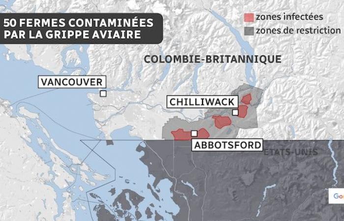 Avian flu gains ground on British Columbia farms