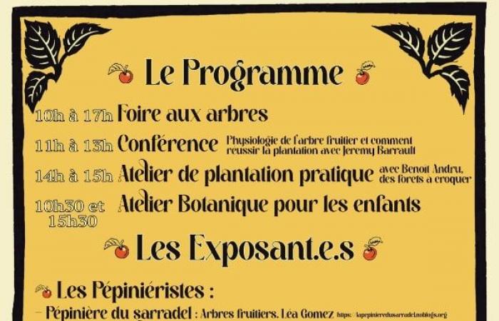 Ariège. The program for the 1st edition of the tree festival in Dun