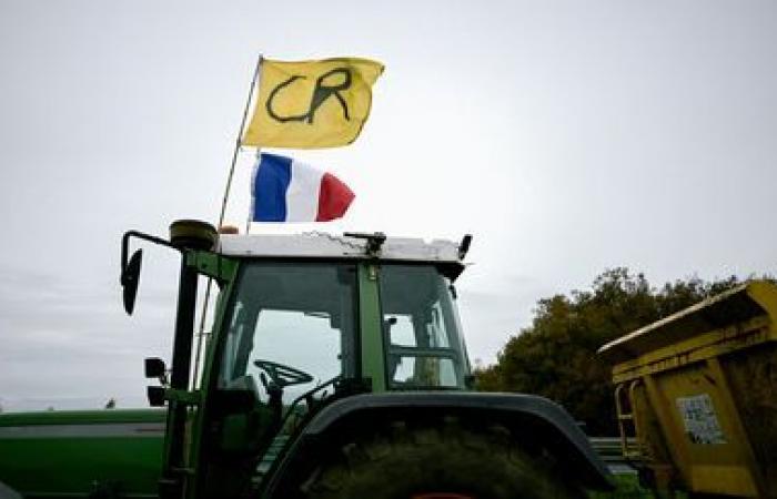 in the Basque Country, the Rural Coordination dumps tons of waste and slurry in front of two mass distribution stores