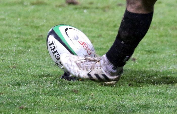 Rugby: acts of sexual assault “committed while drunk on two waitresses”, a player sentenced