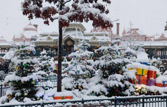 IN PICTURES. From Meaux to Disneyland Paris, the most beautiful photos of snow in Seine-et-Marne