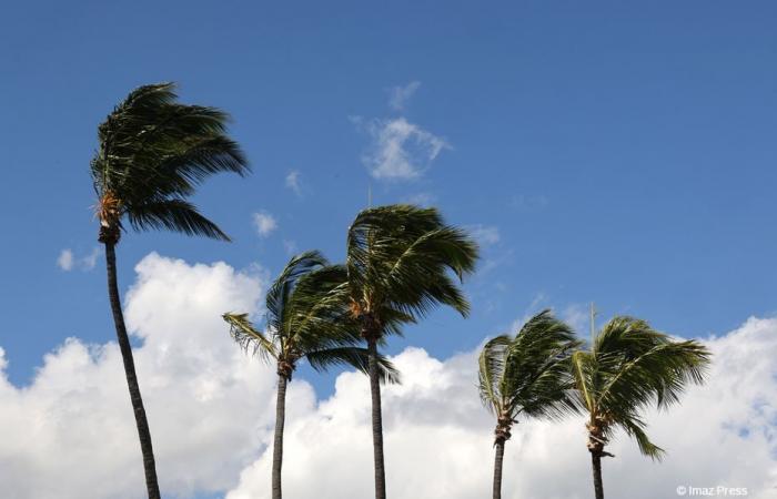 yellow alert, strong winds, from 9 a.m. to 6 p.m. in the West, South and South-East