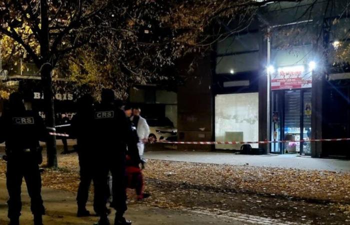 Grenoble. 36-year-old man stabbed to death during brawl in store