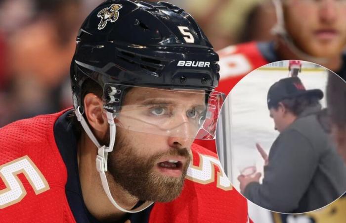 Aaron Ekblad loses his calm and attacks a supporter who insulted him