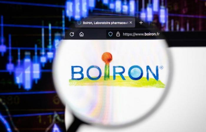 the Boiron laboratory announces its intention to eliminate 145 positions