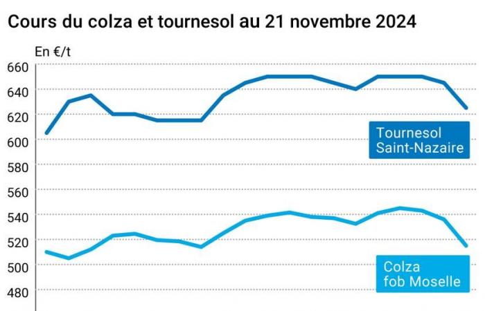 COTidienne | Oilseeds – Oilseed prices collapse, with fears about the consequences of Donald Trump's return to power