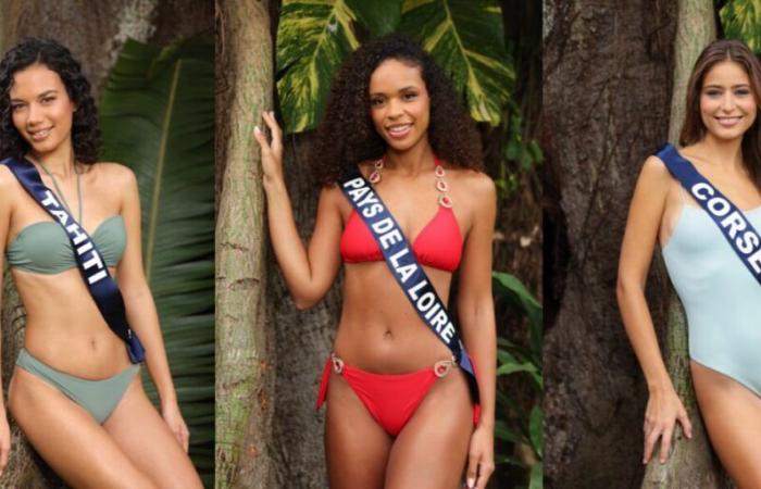 Discover the photos of the 30 candidates in swimsuits