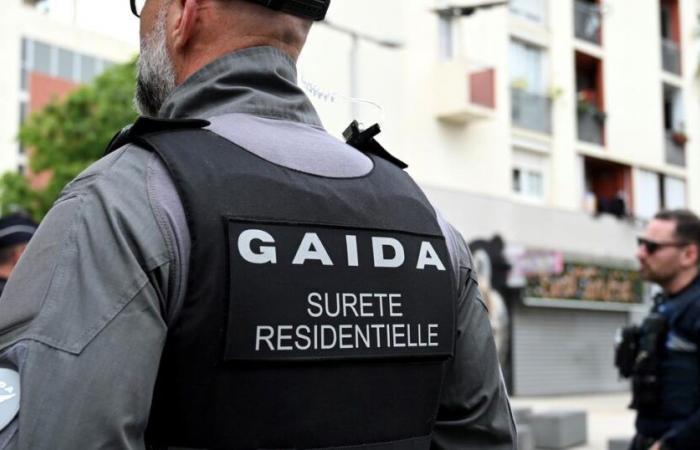 what is the first assessment for the private security agents deployed in the city of Moulins?