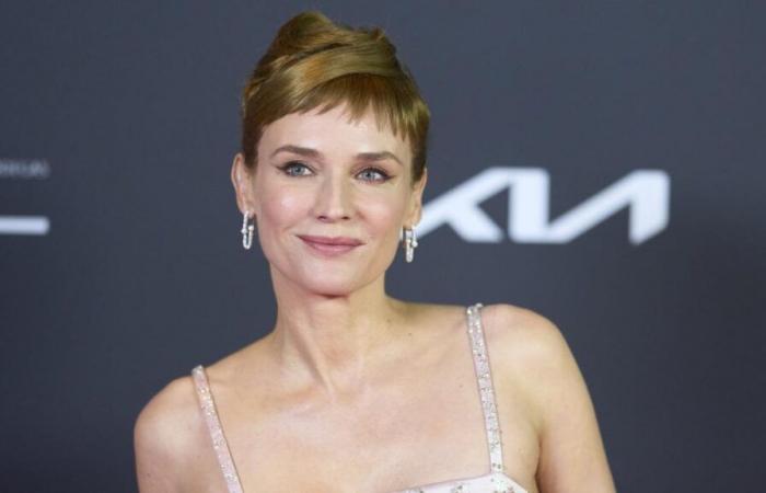 Diane Kruger poses in a completely transparent dress without a bra, the 48-year-old star is hotter than ever