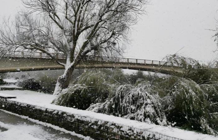 IN PICTURES. From Meaux to Disneyland Paris, the most beautiful photos of snow in Seine-et-Marne