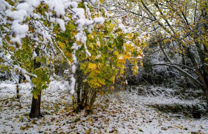 Storm Caetano: truckers stuck on the motorway, trains canceled, school buses suspended… the storm caused chaos, Météo-France warns of a “very clear” risk of refreezing