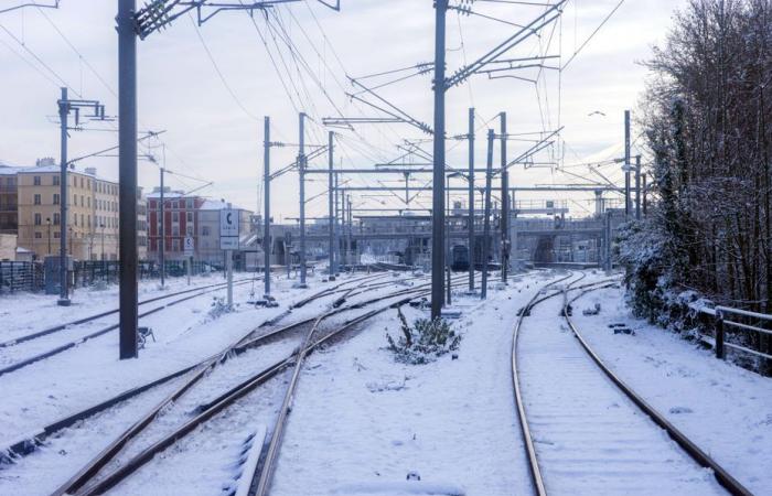 SNCF, public transport, traffic… gradual resumption of traffic in Normandy