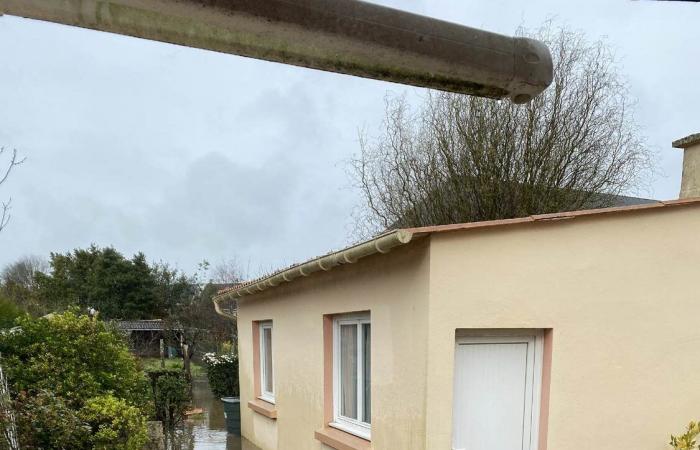 A Nantes collective against a building project in a flood zone