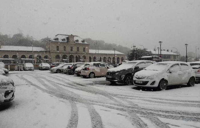 IN PICTURES. From Meaux to Disneyland Paris, the most beautiful photos of snow in Seine-et-Marne