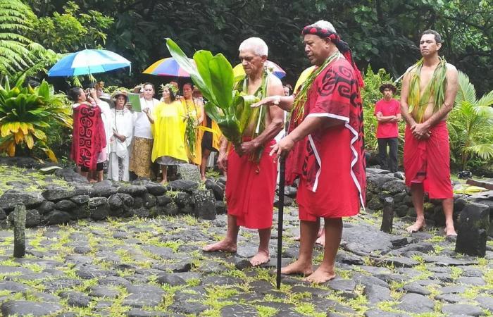 A public holiday to celebrate Matari'i i ni'a, is it still relevant?