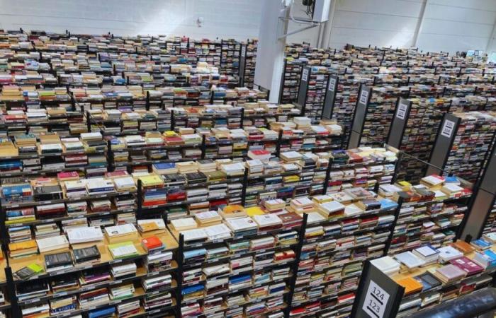 Good plan. 20,000 books sold for €1 in a gigantic warehouse in Villeneuve-d'Ascq this Saturday!