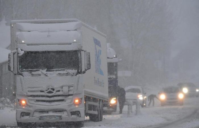 Trains, roads: traffic still difficult this Friday after the Caetano storm, the departments where things get stuck