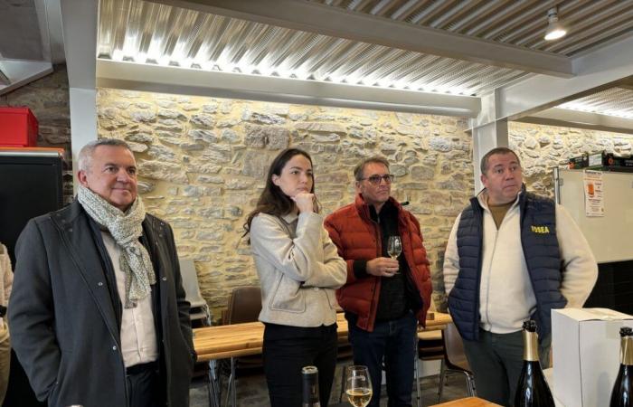 MEP Chloé Ridel on the wine field – News