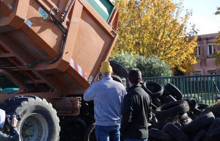 Direct. Anger of the farmers. The Carrefour purchasing center in Colomiers unblocked by the police