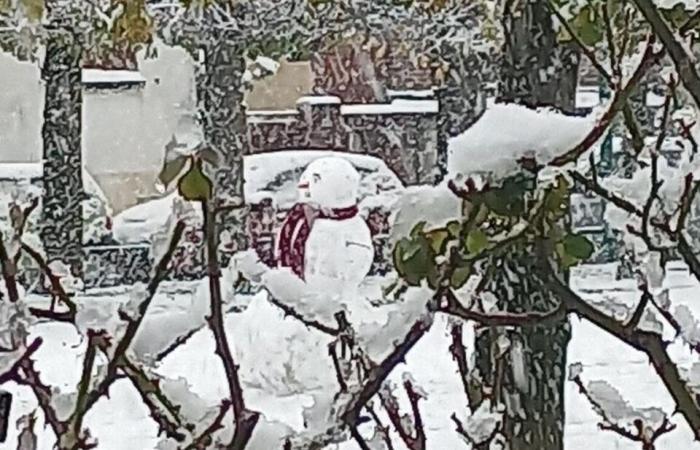 IN PICTURES. From Meaux to Disneyland Paris, the most beautiful photos of snow in Seine-et-Marne